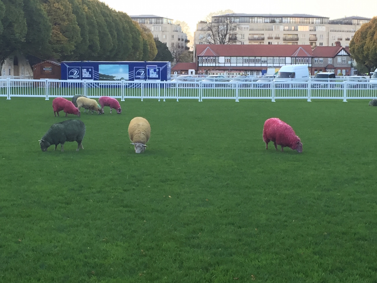 Web Summit Sheep